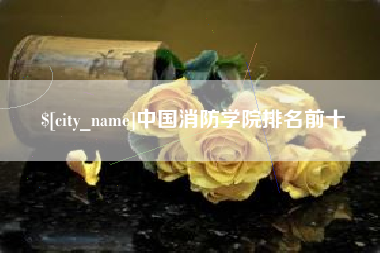 吴忠中国消防学院排名前十