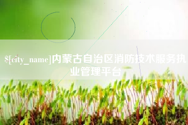 吴忠内蒙古自治区消防技术服务执业管理平台
