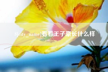 吴忠看看王子豪长什么样