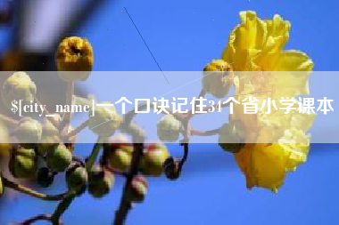 吴忠一个口诀记住34个省小学课本