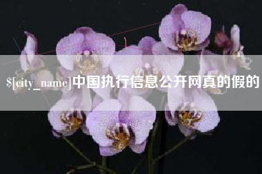 吴忠中国执行信息公开网真的假的