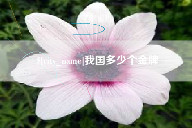 吴忠我国多少个金牌