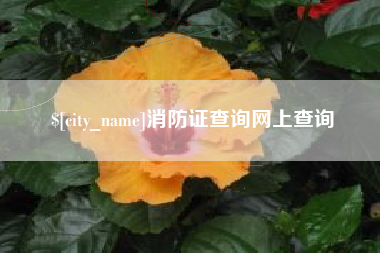 吴忠消防证查询网上查询