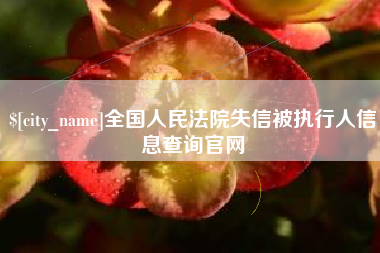 吴忠全国人民法院失信被执行人信息查询官网