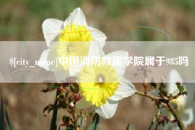 吴忠中国消防救援学院属于985吗