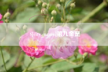 吴忠第九金是