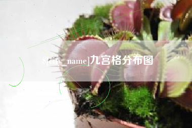 吴忠九宫格分布图