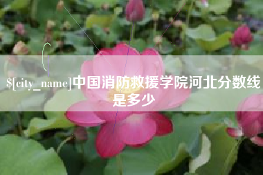 吴忠中国消防救援学院河北分数线是多少