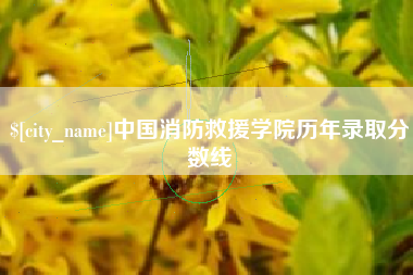 吴忠中国消防救援学院历年录取分数线