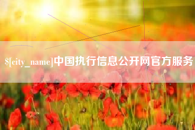 吴忠中国执行信息公开网官方服务