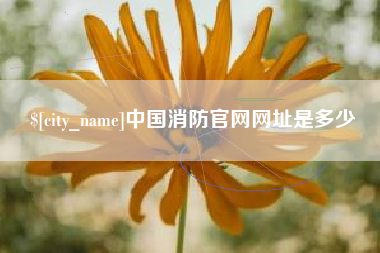 吴忠中国消防官网网址是多少