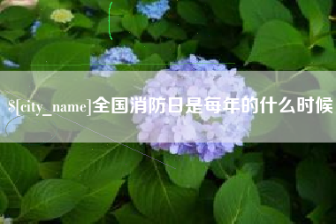 吴忠全国消防日是每年的什么时候