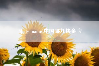 吴忠中国哪九块金牌