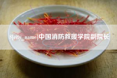 吴忠中国消防救援学院副院长
