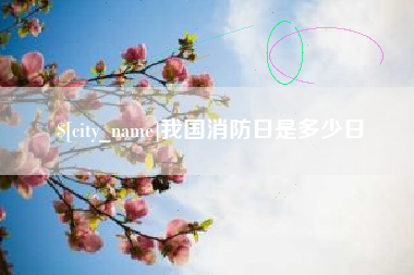 吴忠我国消防日是多少日