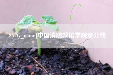 吴忠中国消防救援学院录分线