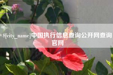吴忠中国执行信息查询公开网查询官网