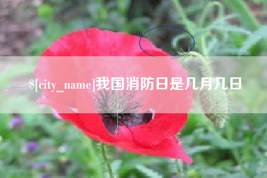 吴忠我国消防日是几月几日