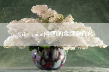 吴忠中国的金牌有几名