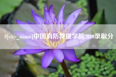 吴忠中国消防救援学院2020录取分