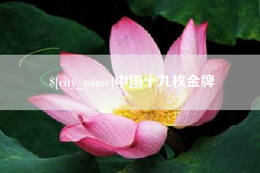 吴忠中国十九枚金牌