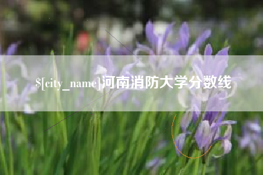 吴忠河南消防大学分数线