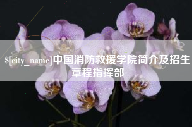 吴忠中国消防救援学院简介及招生章程指挥部