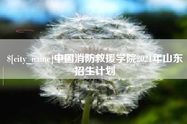 吴忠中国消防救援学院2021年山东招生计划