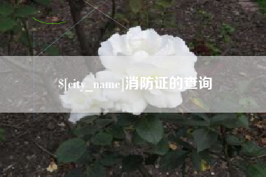 吴忠消防证的查询