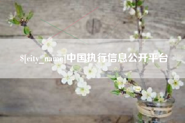 吴忠中国执行信息公开平台