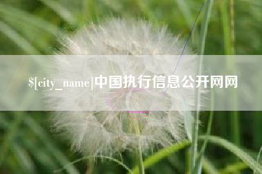 吴忠中国执行信息公开网网