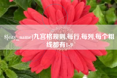 吴忠九宫格规则,每行,每列,每个粗线都有1-9