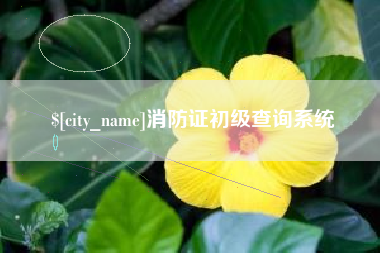 吴忠消防证初级查询系统
