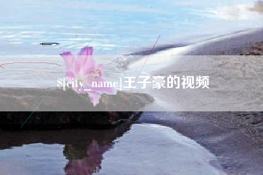 吴忠王子豪的视频