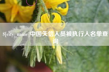 吴忠中国失信人员被执行人名单查询