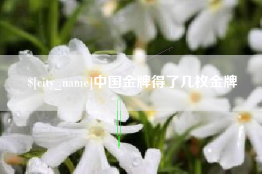 吴忠中国金牌得了几枚金牌