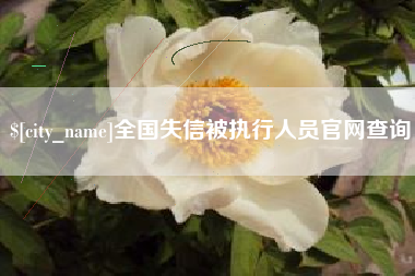 吴忠全国失信被执行人员官网查询