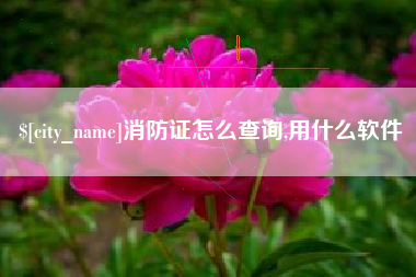 吴忠消防证怎么查询,用什么软件