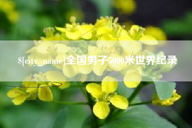 吴忠全国男子5000米世界纪录