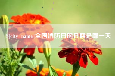 吴忠全国消防日的日期是哪一天