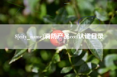 吴忠消防产品cccf认证目录