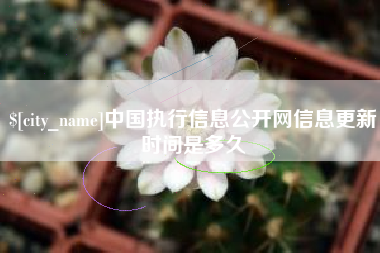 吴忠中国执行信息公开网信息更新时间是多久