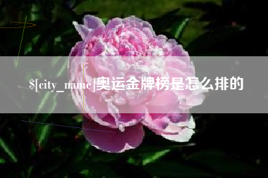 吴忠奥运金牌榜是怎么排的