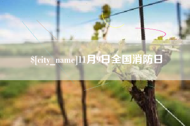 吴忠11月9日全国消防日
