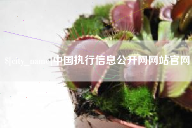 吴忠中国执行信息公开网网站官网