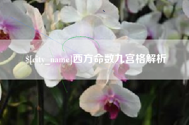吴忠西方命数九宫格解析