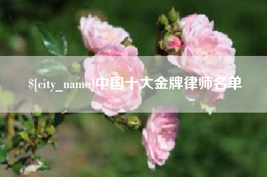吴忠中国十大金牌律师名单