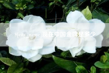 吴忠现在中国金牌是多少