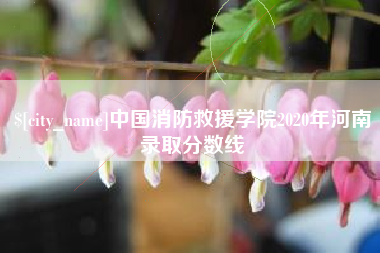 吴忠中国消防救援学院2020年河南录取分数线