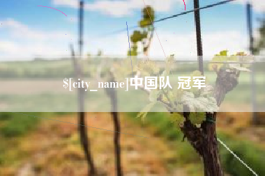 吴忠中国队 冠军